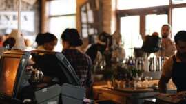 Neque dolor primis a libero tempus a tempor